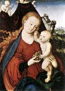 CRANACH, Lucas the Elder Madonna and Child fgd142 oil on canvas